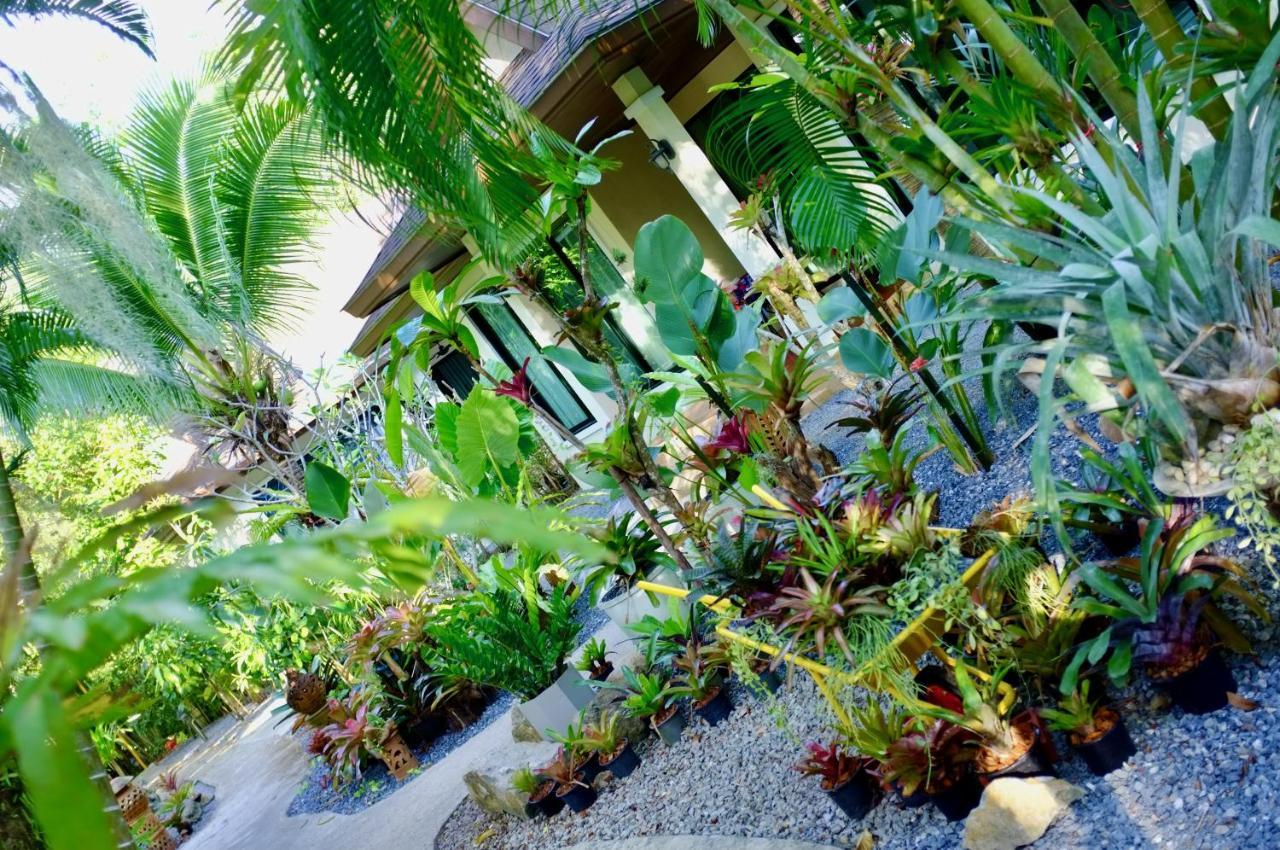 The Nature House Aonang Krabi Thailand Ao Nang Ngoại thất bức ảnh
