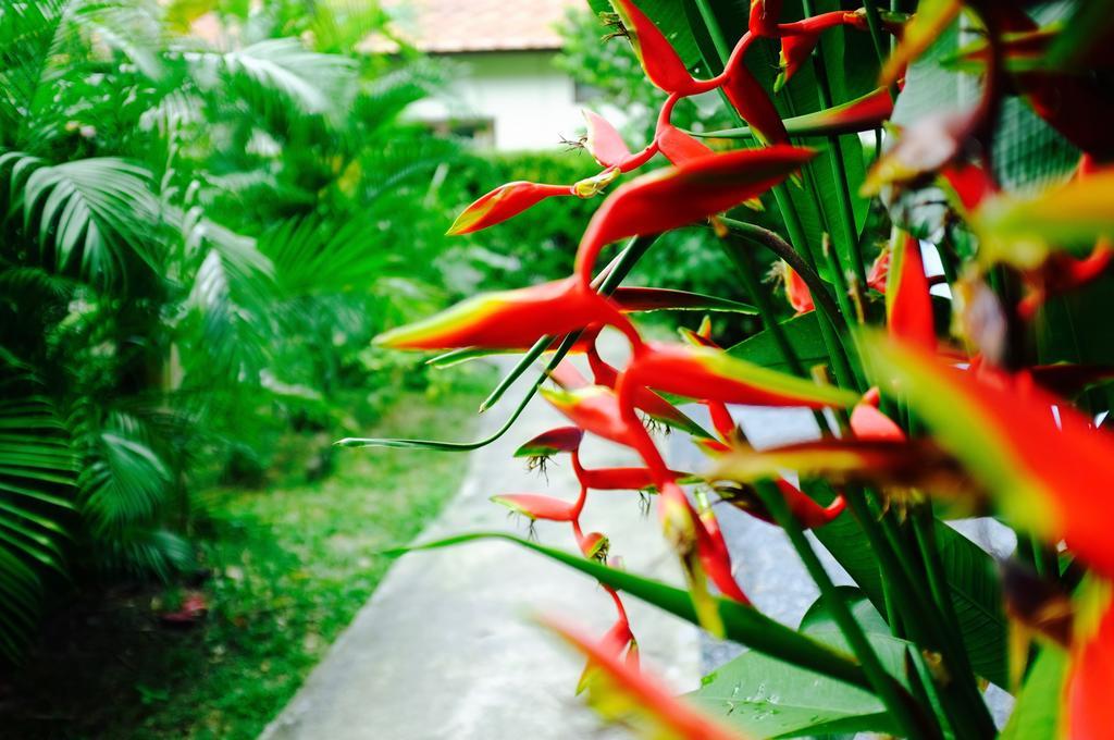 The Nature House Aonang Krabi Thailand Ao Nang Ngoại thất bức ảnh